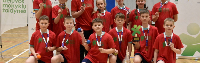 2024-2025 m.m. Lietuvos mokyklų žaidynių 