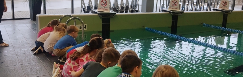 Edukaciją po baseiną!