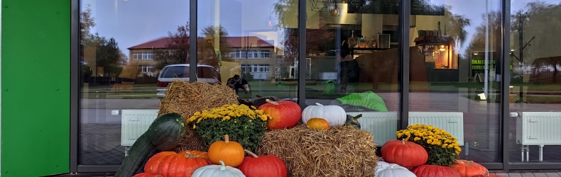 Helovyniškai pasipuošęs Šilalės baseinas, laukia lankytojų įprastu darbo laiku nuo 9.00-21.00 val.