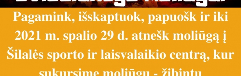Moliūgų žibintų paroda - konkursas!