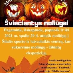 Moliūgų žibintų paroda - konkursas!