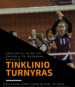 Tinklinio varžybos