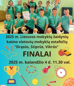2024-2025 m.m. Lietuvos mokyklų žaidynių kaimo vietovių mokyklų 
