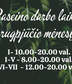 Baseino darbo laikas rugpjūčio mėnesį!