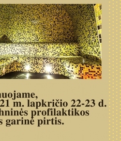 Dėl techninės profilaktikos neveiks garinė pirtis!