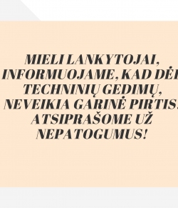 Dėl techninių kliūčių neveikia garinė pirtis!