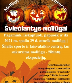 Moliūgų žibintų paroda - konkursas!