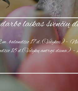 Šilalės baseino darbo laikas šventinėmis dienomis!